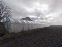 Tunel    Foliowy
