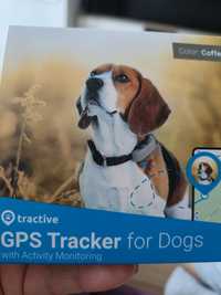 GPS tracker dla psa