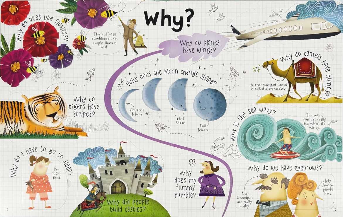 NOWA	Usborne Lift the Flap Questions and Answers Książka kartonowa