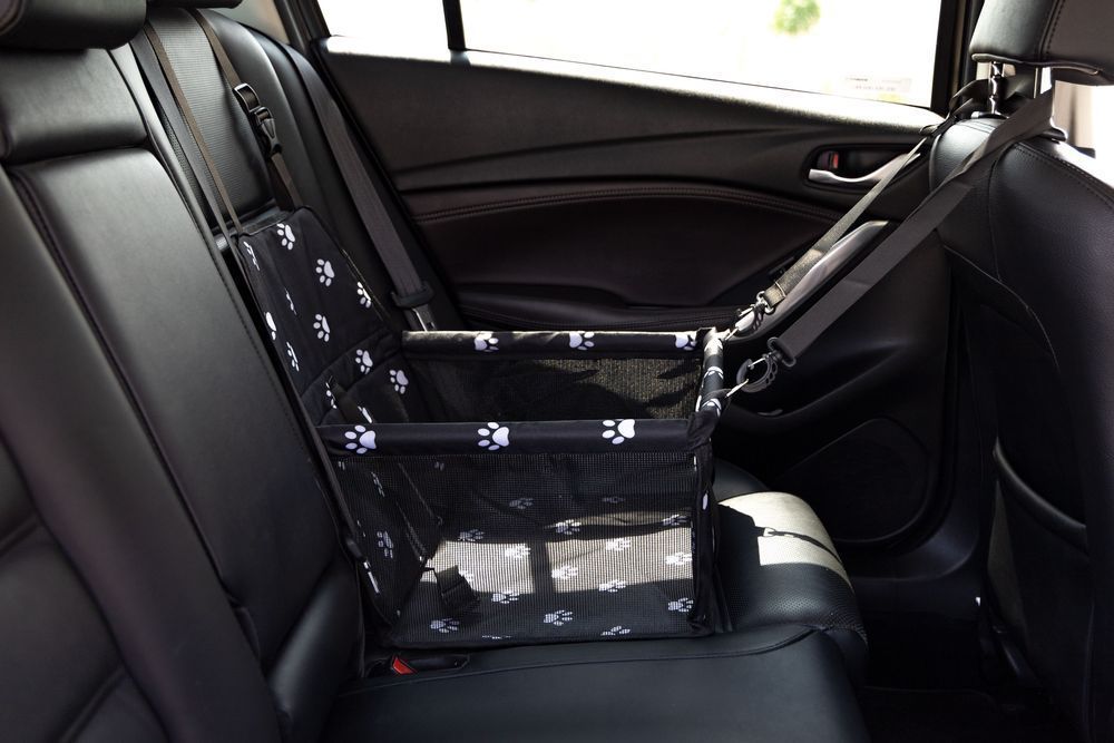 Transporter Samochodowy Dla Zwierząt Kota Psa Petsi