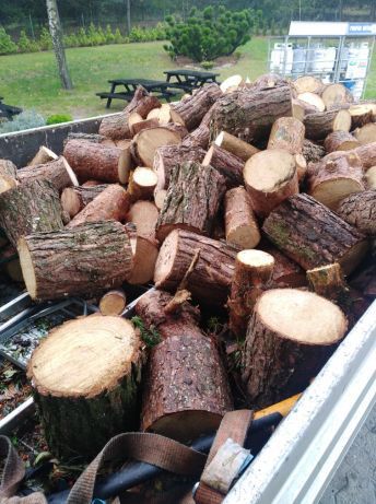 Drewno opałowe i kominkowe. Dowóz Wroc,Oleśn,TrzebOława.jelcz .Sroda.