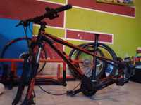 Bicicleta montanha Cross Bulls