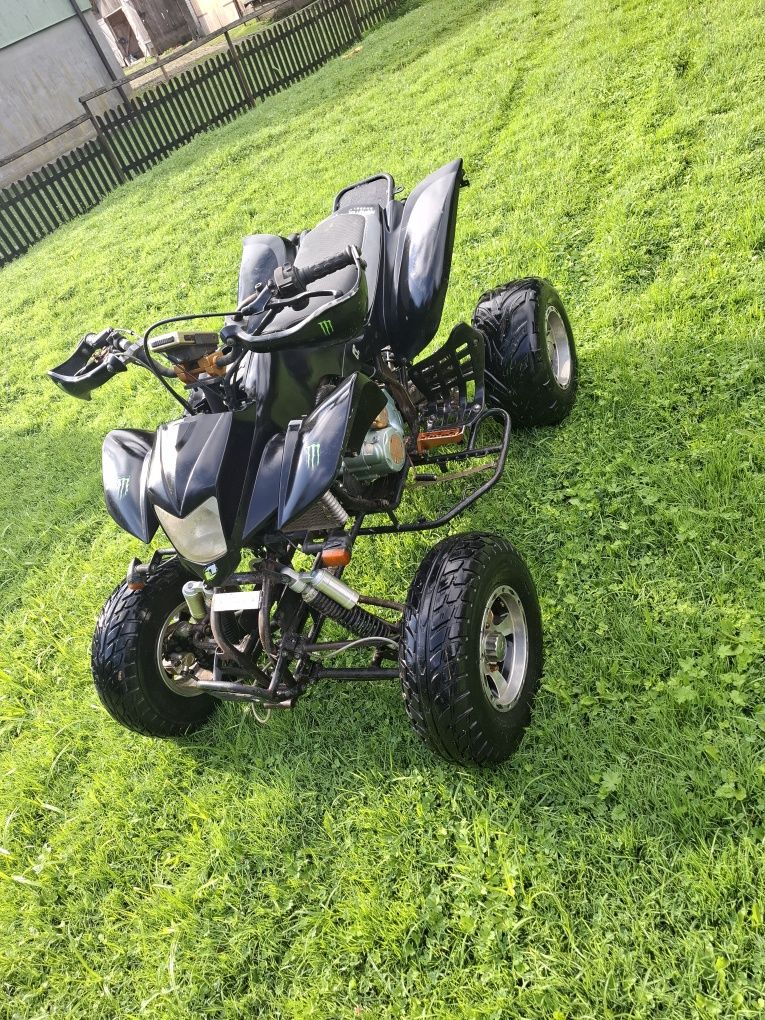 Quad Bashan 250 +przyczepka i pług