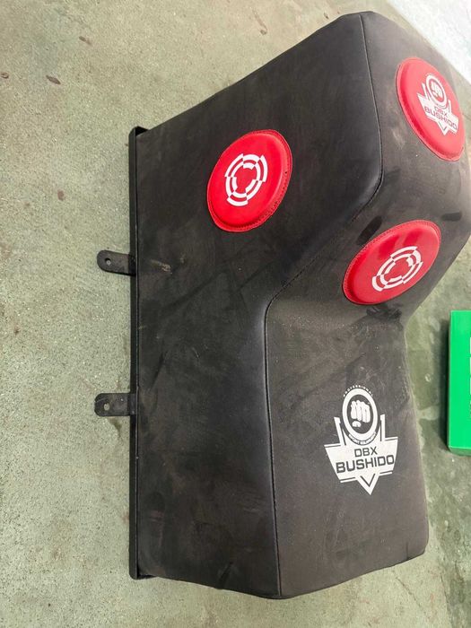 Tarcza ścienna bokserska z daszkiem Bushido DBX-W-10