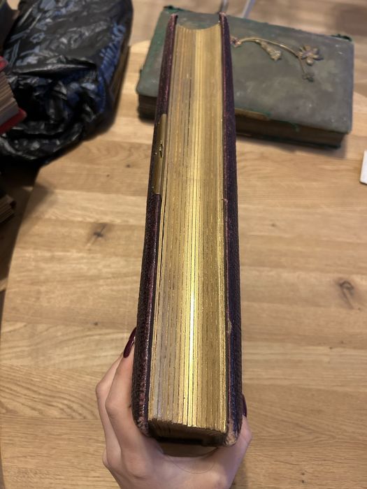 Skorzany album na fotografie tekturkowe kartonikowe XIX wiek duzy