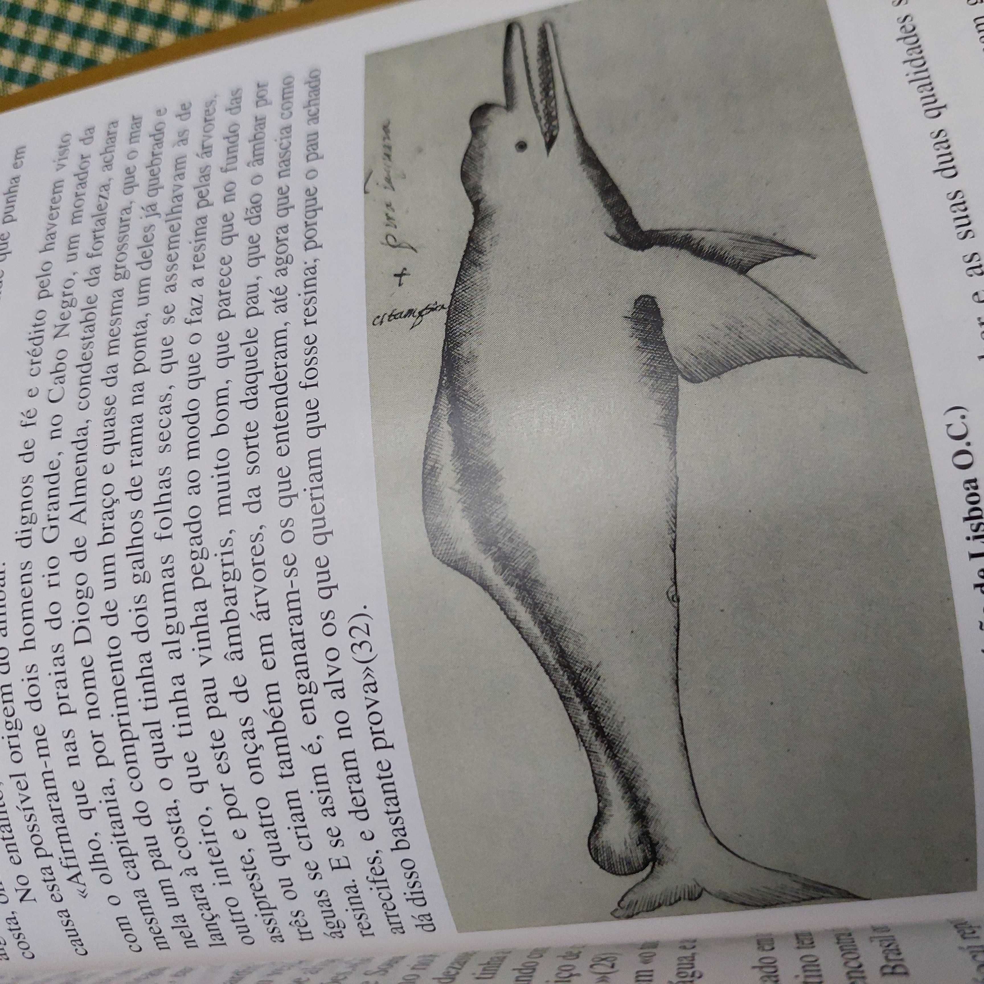 A fauna exótica dos Descobrimentos