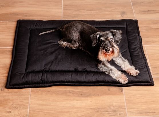Wysokiej jakości legowisko dla psa mata Mimiko Pets 100x70cm czarna