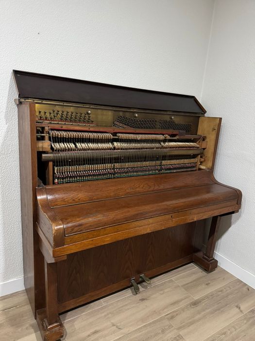 Piano Newton & Newton