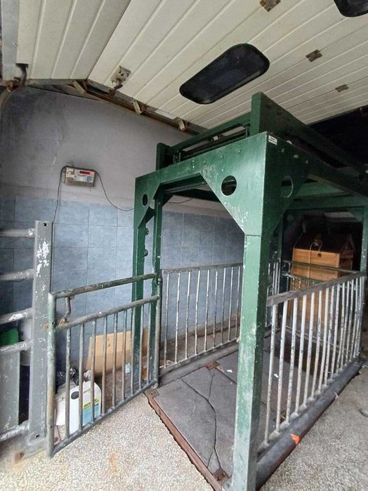 Waga do żywca bydła