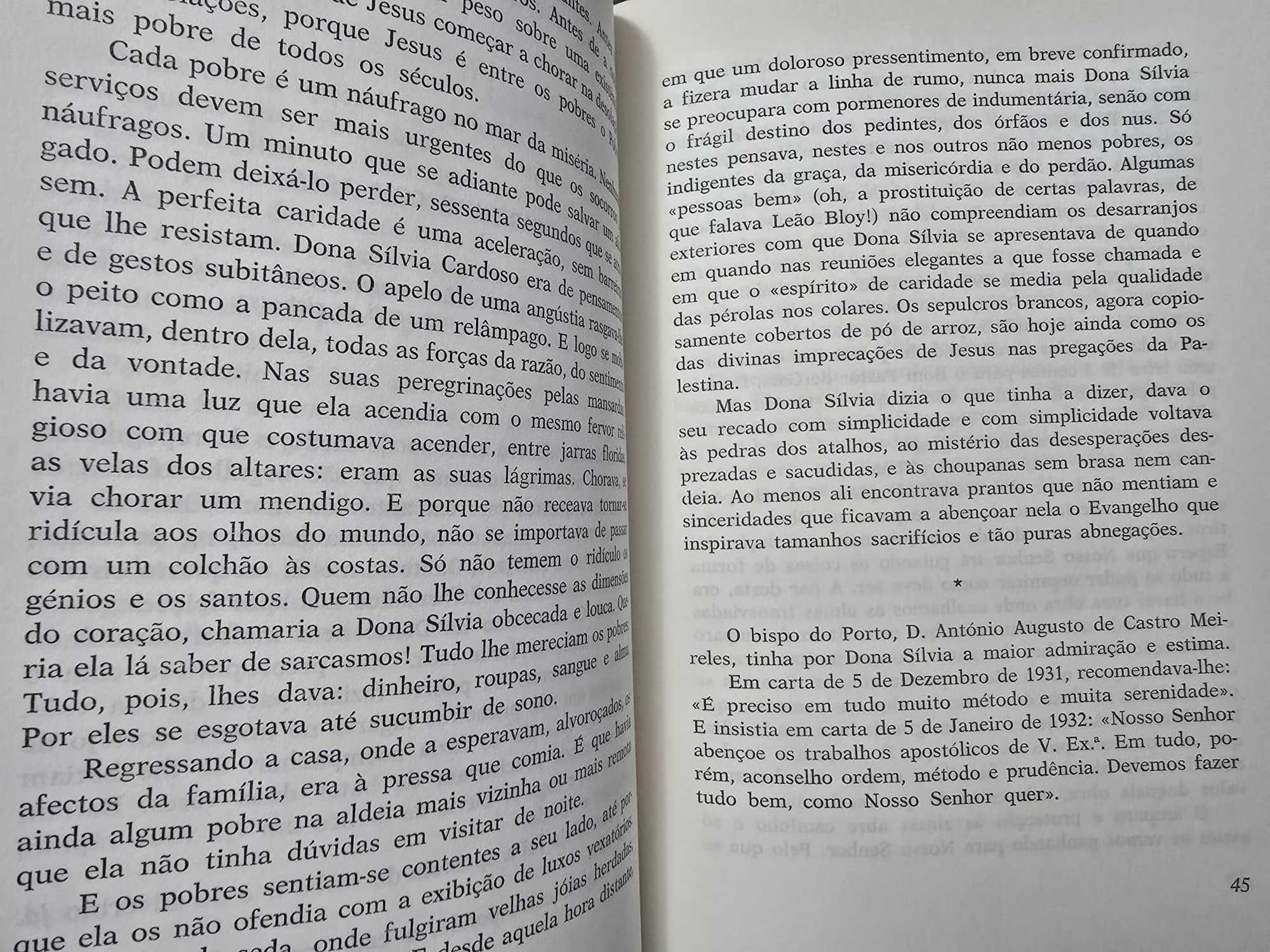 O Anjo das Três Loucuras – Sílvia Cardoso – Moreira das Neves