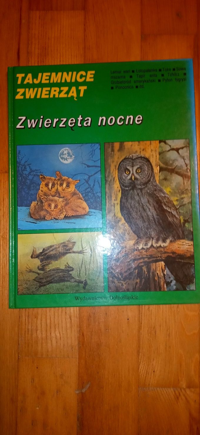 Tajemnice zwierząt, Zwierzęta nocne