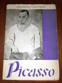 Picasso _ Antonina Vallentin