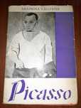 Picasso _ Antonina Vallentin