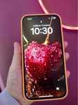 Iphone 13 pro max 256 гб