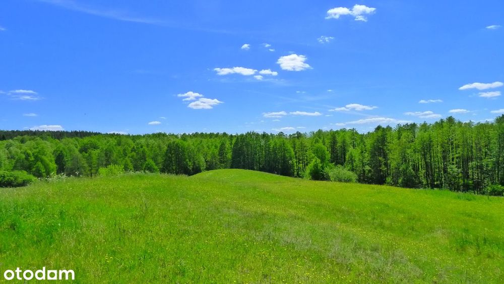 Okuniowiec - działka z warunkami zabudowy - 30 zł/m2