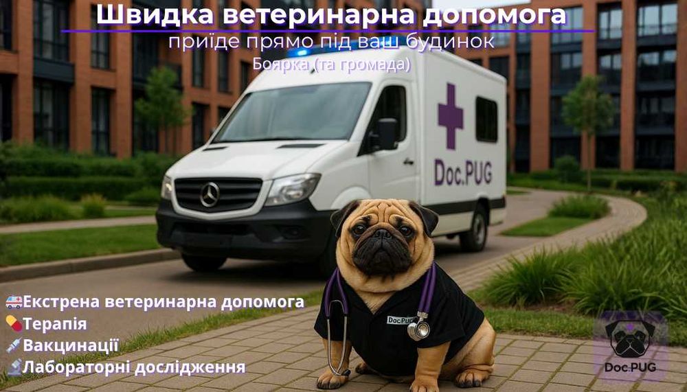 Ветеринар на дом! Мобільна клініка Боярська громада!