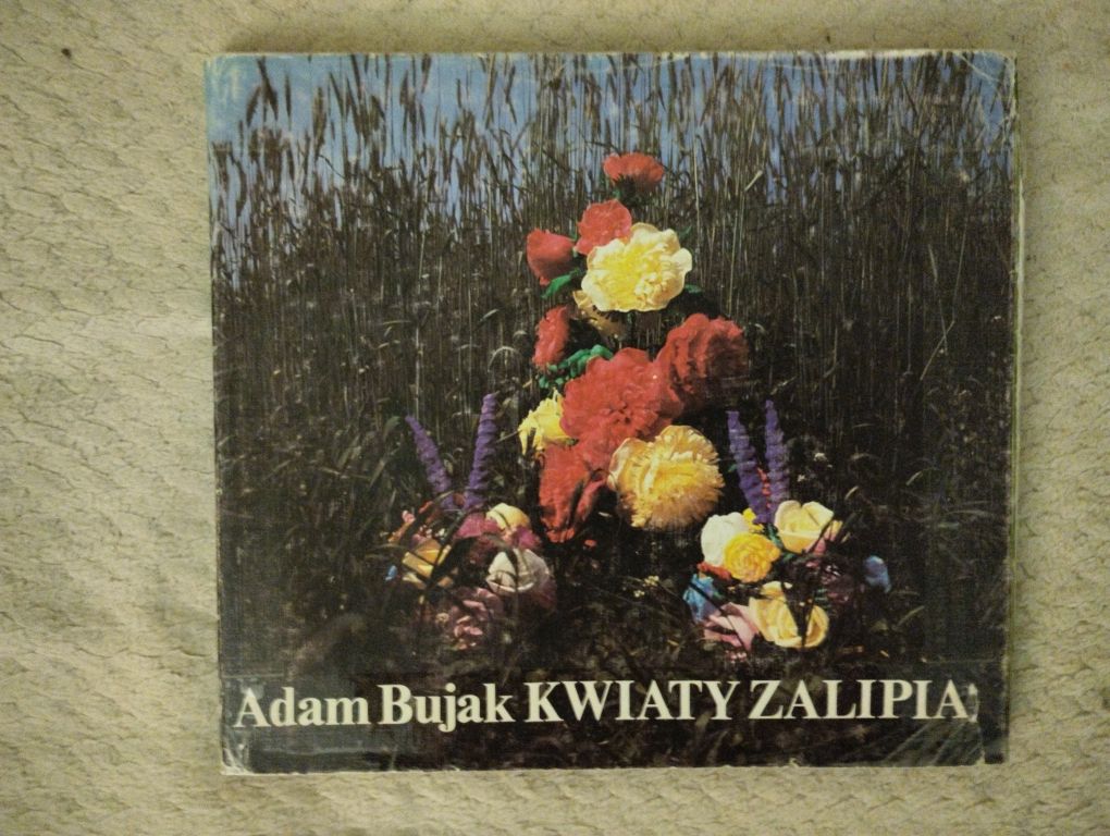 Adam Bujak. Kwiaty Zalipia.