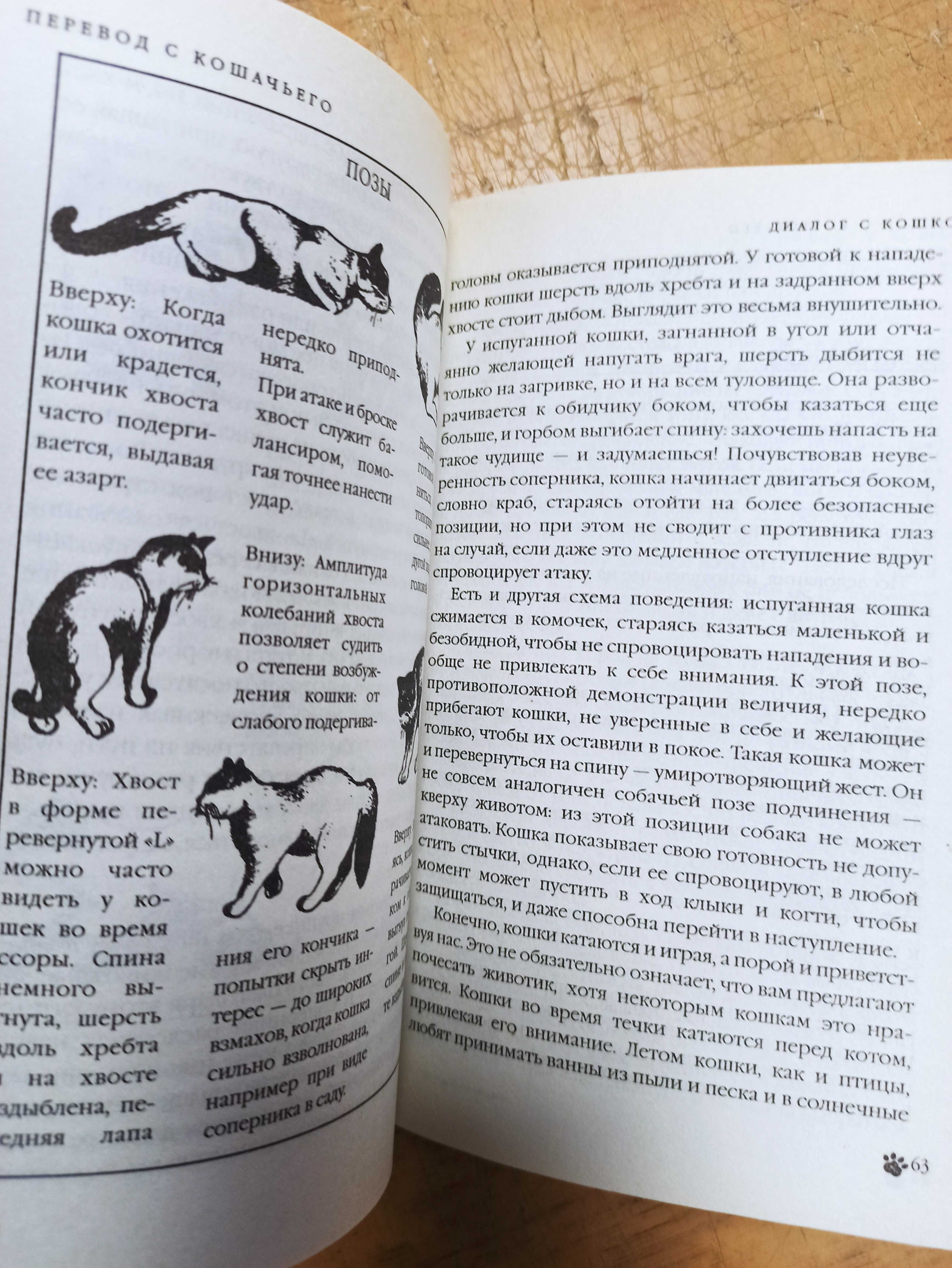 Перевод с кошачьего. Научитесь разговаривать со своей кошкой. Бессант