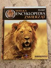 Ssaki drapieżne Wielka encyklopedia zwierząt