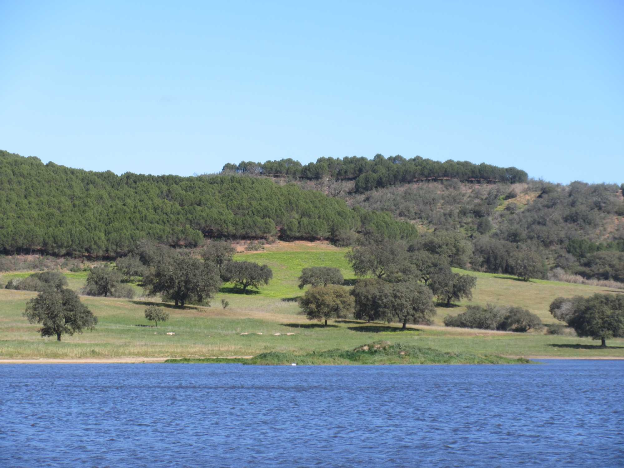 Terreno para venda na bonita aldeia de Santa Susana, Alcácer do Sal