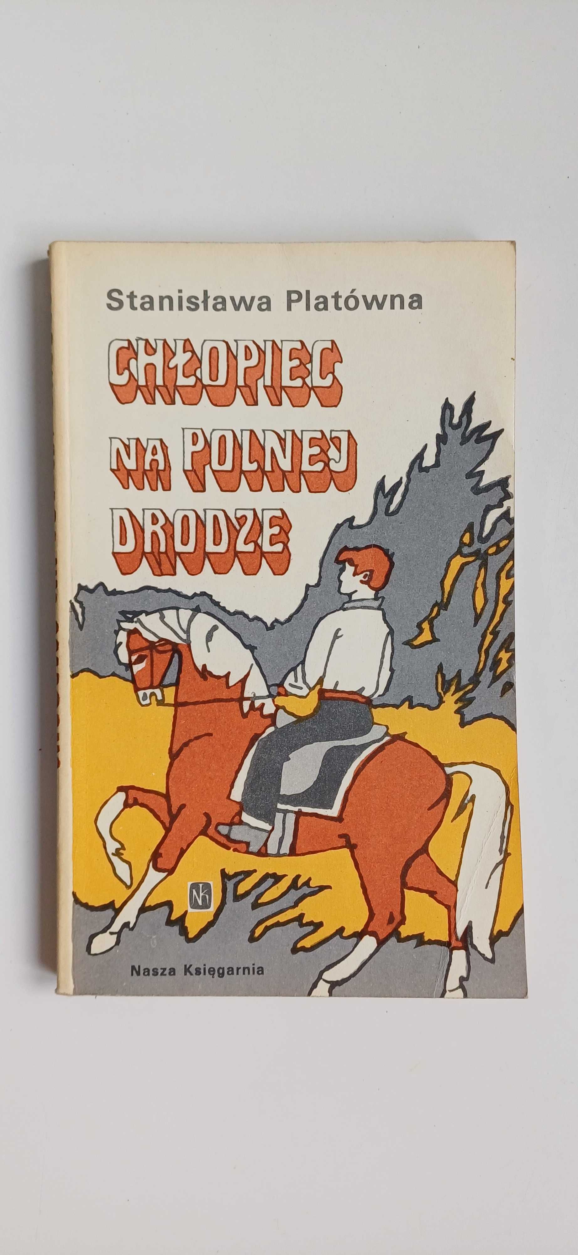 Stanisława Platówna - Chłopiec na polnej drodze