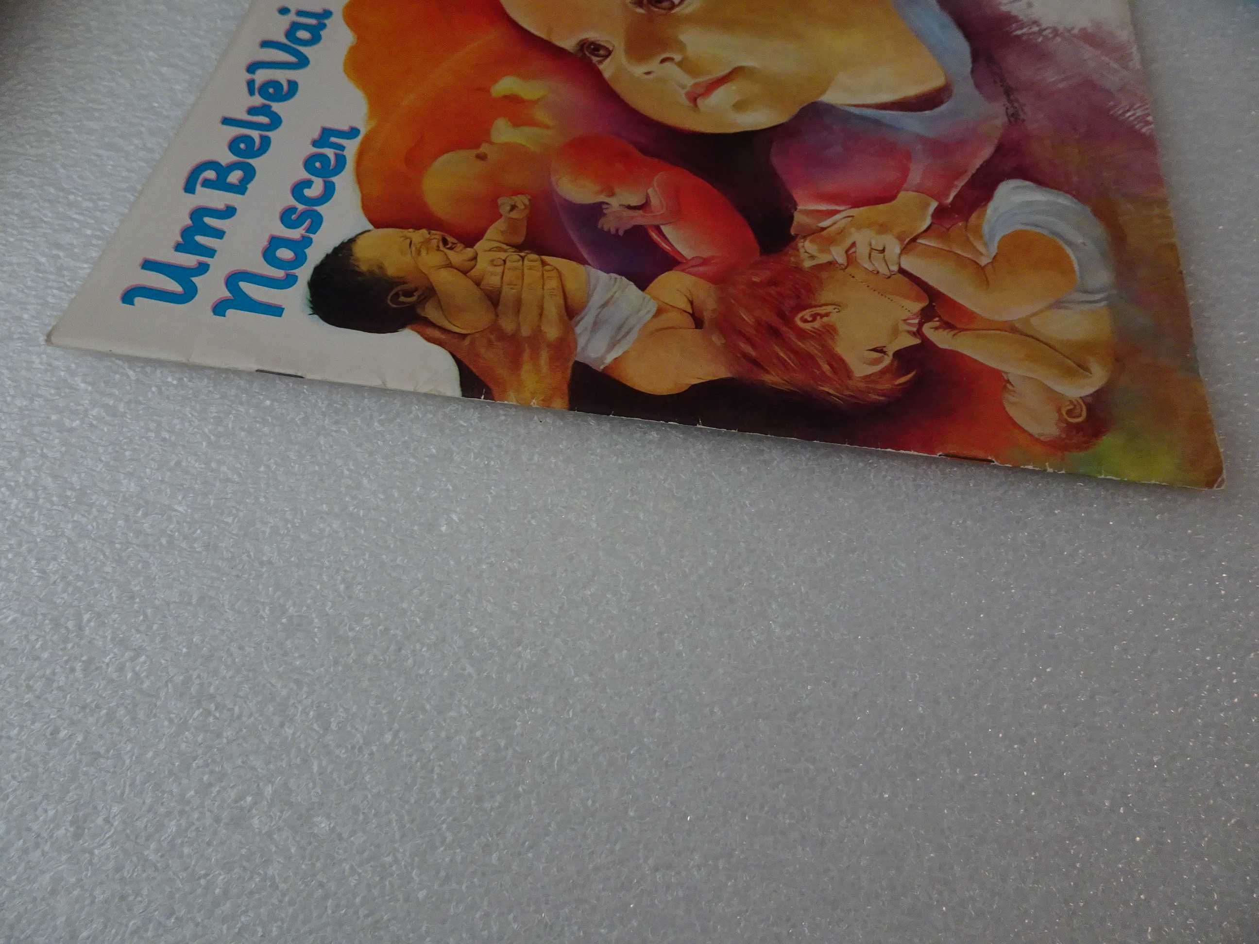 Caderneta de cromos vazia Um Bebé vai Nascer -