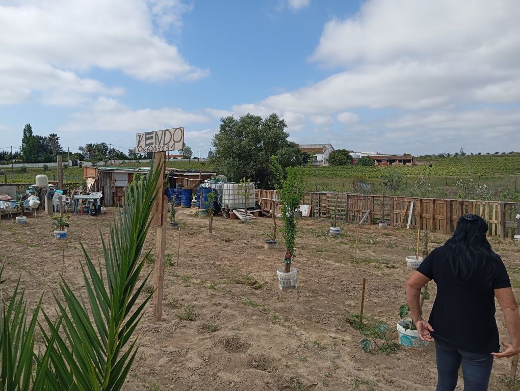 Vende-se terreno em Palmela LAU