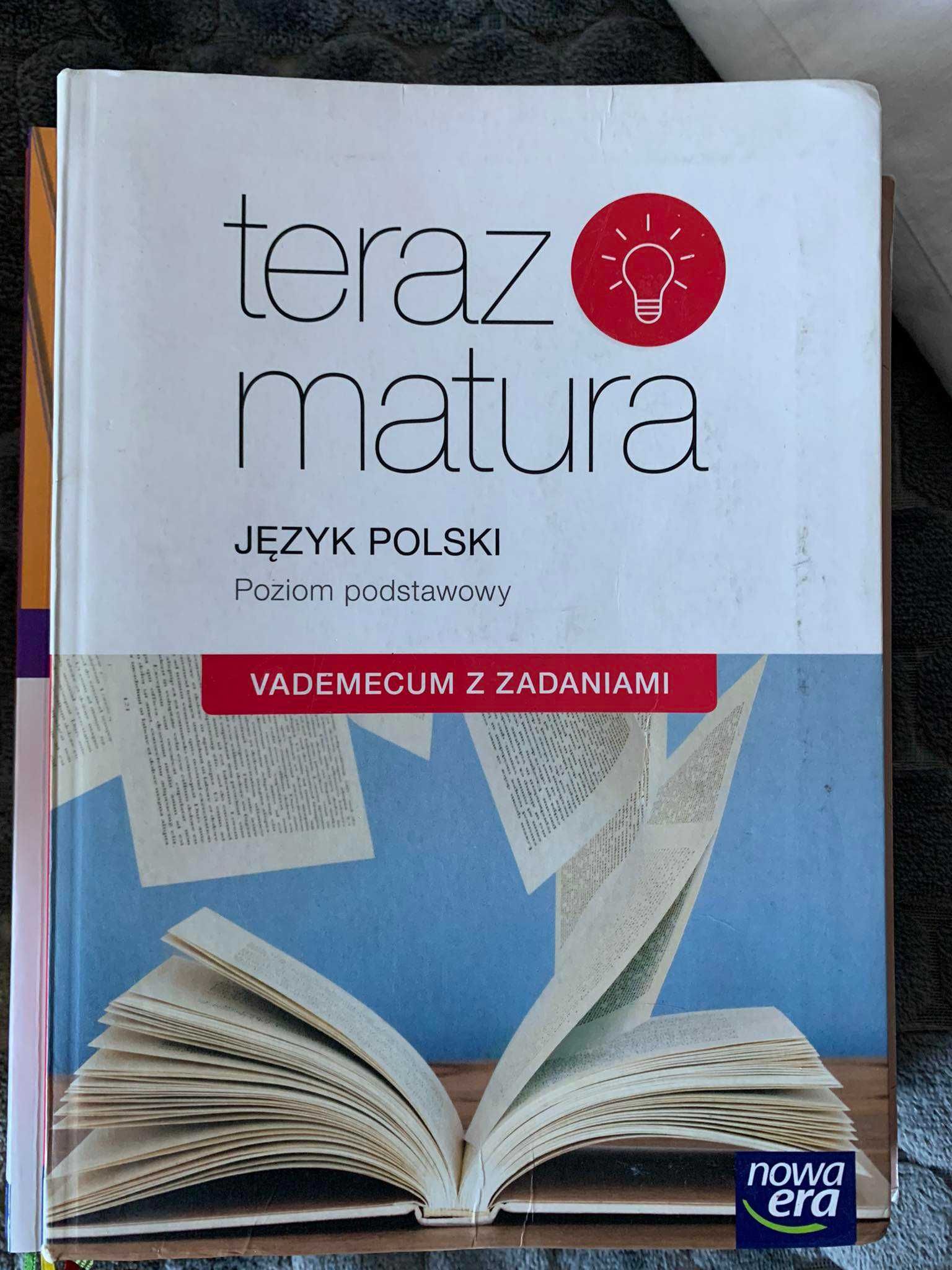 Vademacum maturalne z zadaniami język polski