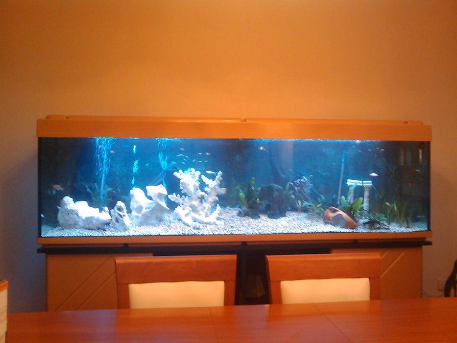 Aquário Completo 500L (2m) + Móvel + Filtros + CO2 – Oportunidade!