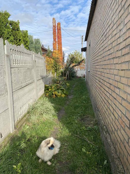 Продам будинок на Таращанському масиві