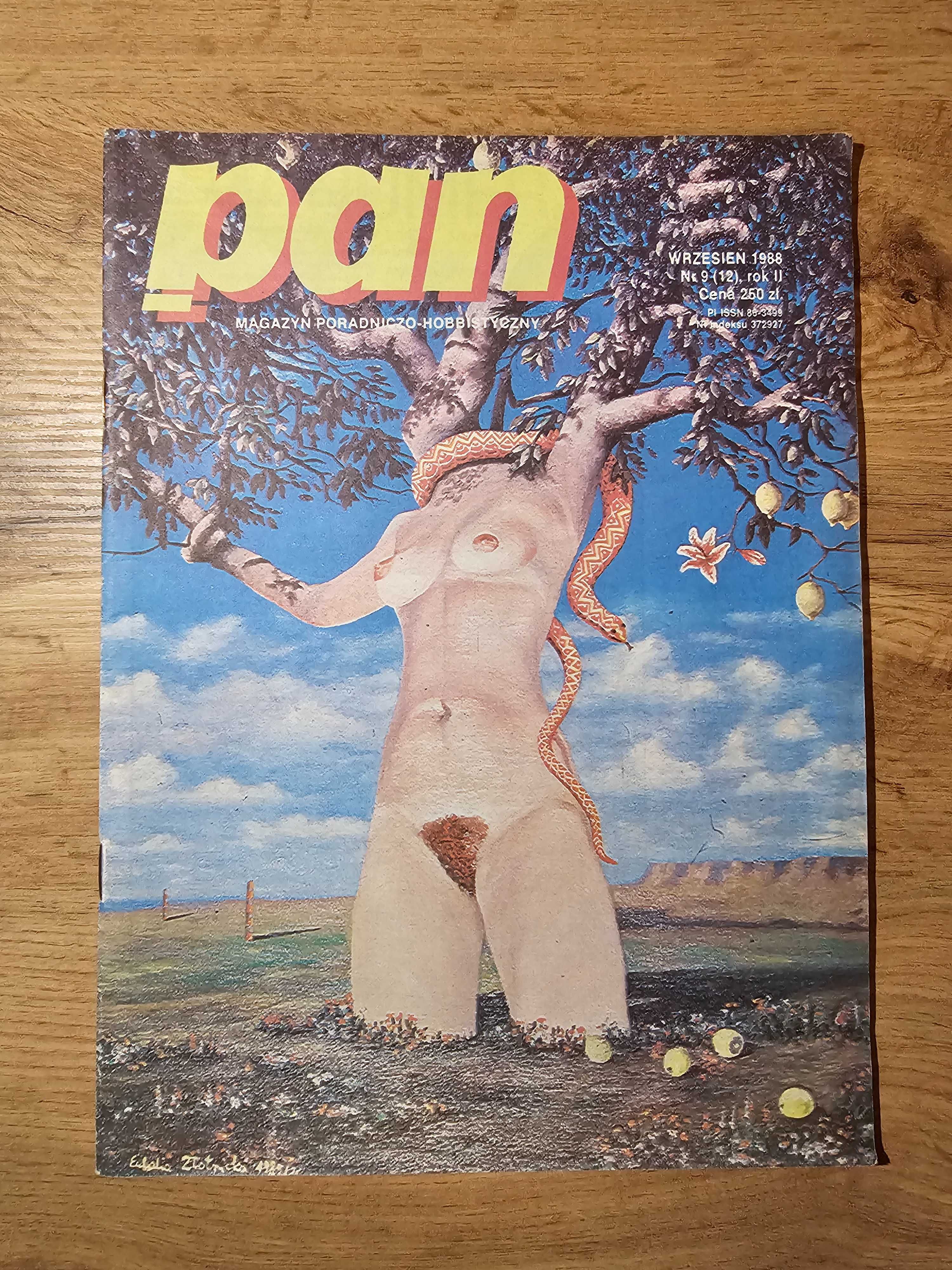 Magazyn Poradniczo-Hobbistyczny PAN 9/1988 - polski Playboy