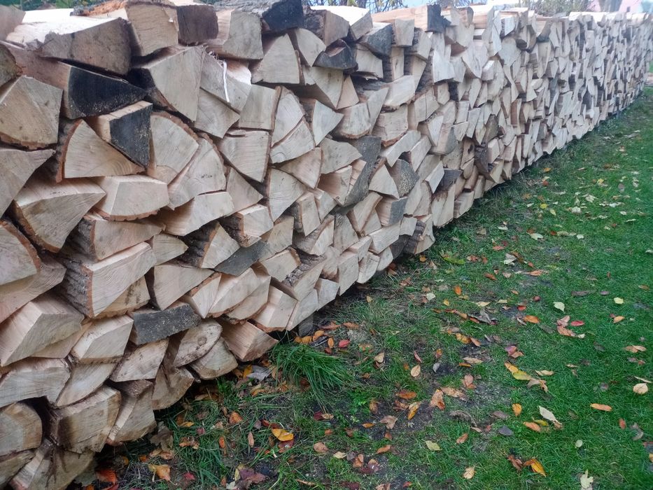 Drewno kominkowe drzewo opałowe lisciaste twarde transport