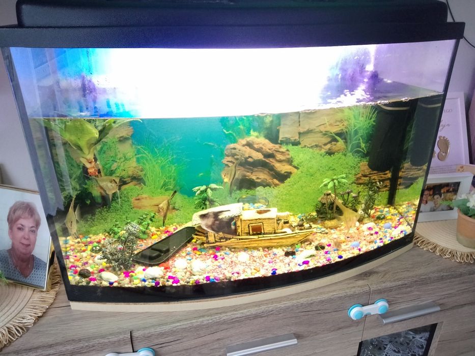 Sprzedam akwarium 112