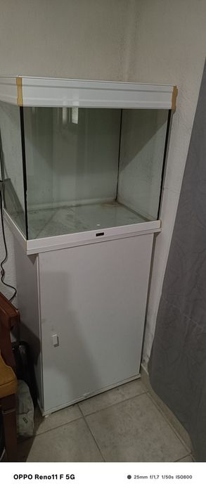 Vendo um aquário a quase novo.