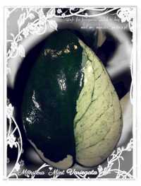 INTERNATIONAL Monstera Mint Variegata Deliciosa philodendron alocasia