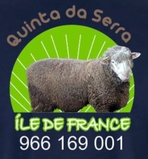 Borregos ille de france