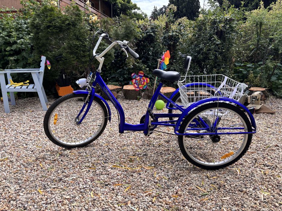 Rower Dla Niepelnosprawnych 24 cale 6 biegow Rehtime 2