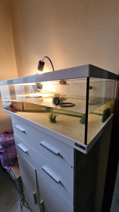 Aquário + 2 filtros + 1 termostato + decoração + luz