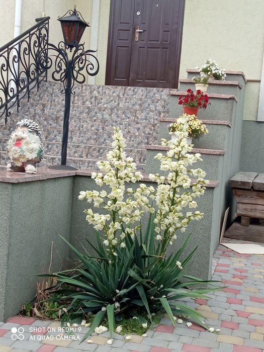 Будинок в місті для великої родини