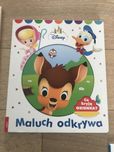 Książeczka z okienkami Maluch odkrywa