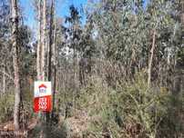 Terreno com 2.000m2 em Medelo, Fafe