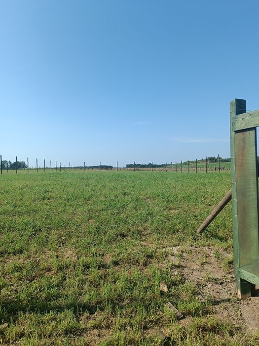 Gotowa działka rekreacyjna na Mazurach - tylko 34 tys. zł