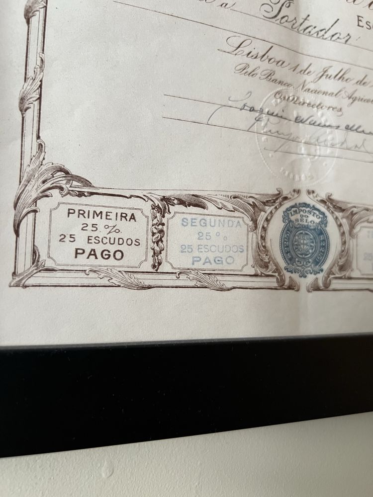 Titulo de uma acção