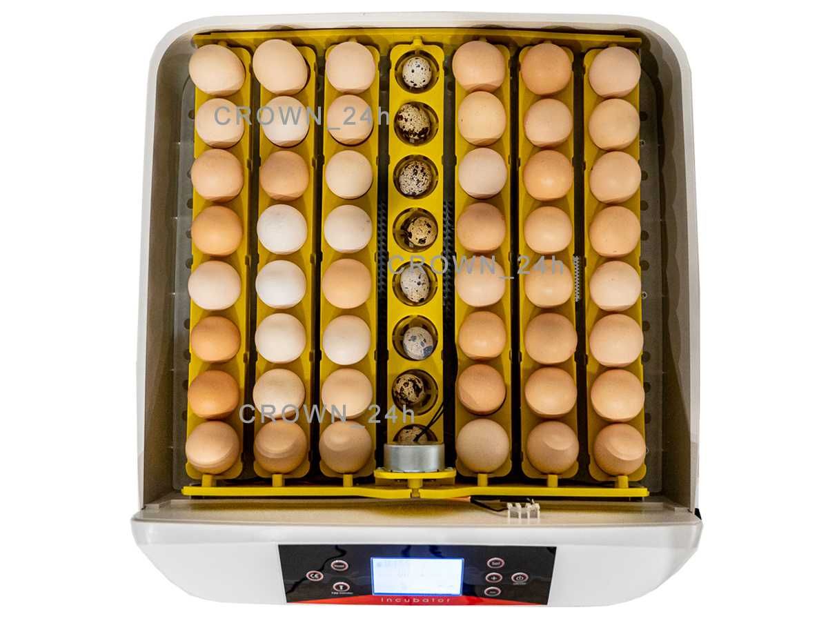 Inkubator Automat 230V na 56 jaj Owoskop wylęgarka klujnik DOSTAWA-24h