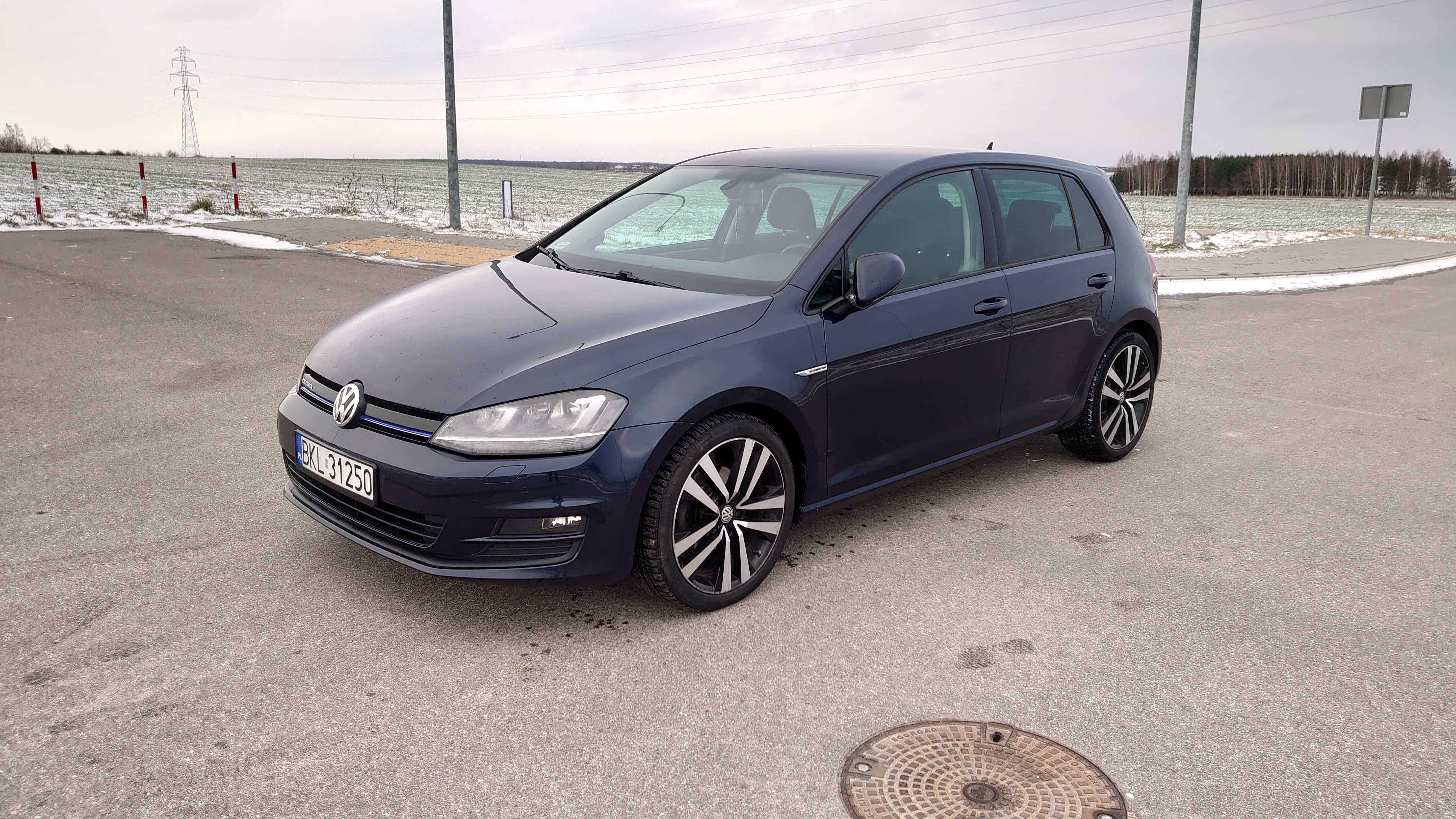 Vw Golf 7 BlueMotion 1,6TDI full opcja stan BDB