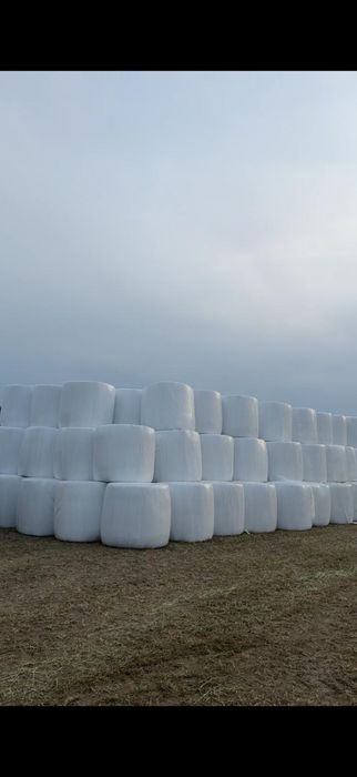 Sianokiszonka siane laki