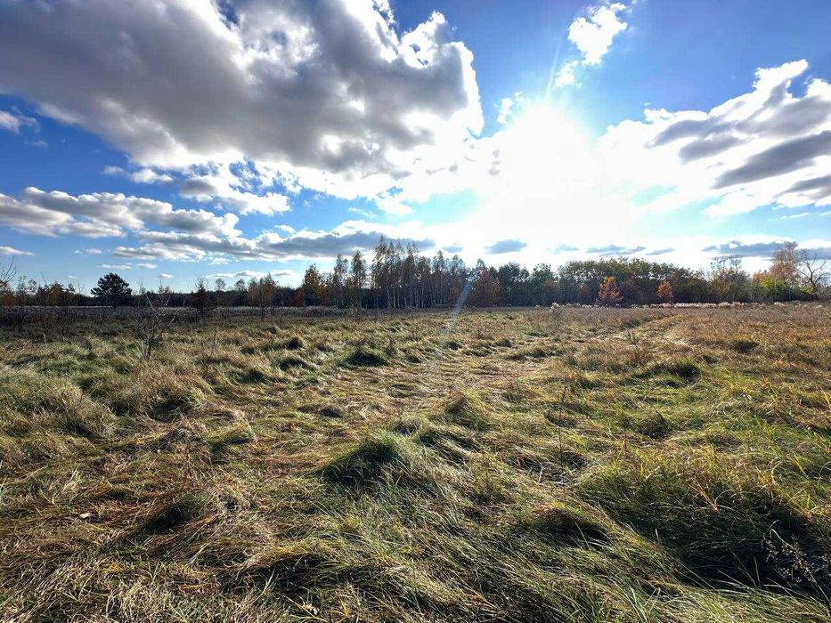 Продаж ділянки 38сот під забудову. Електрика поруч. Біля лісу. ID:732