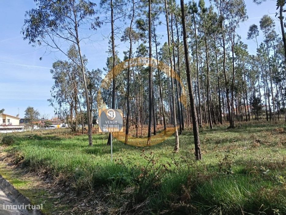 Terreno Santa Maria da Feira