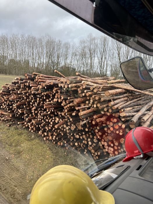 Żerdzie, Slupki ogrodzeniowe ,Stemple budowlane sosnowe 3 Mb