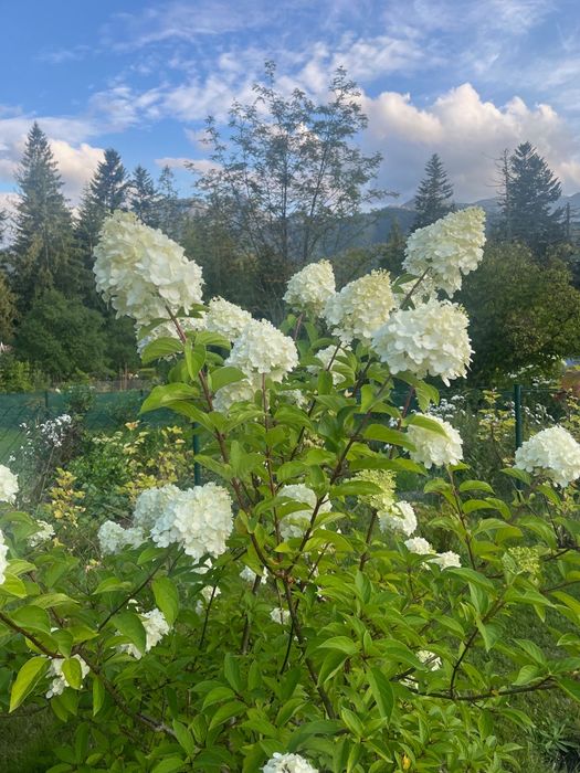 Działka rekreacyjna Zakopane-Kościelisko